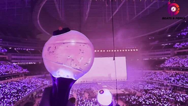 International Fans on BTS Concert